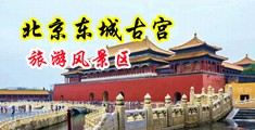 草我的逼我是骚货中国北京-东城古宫旅游风景区